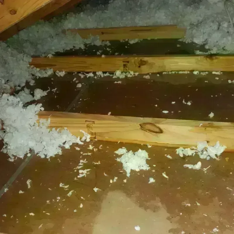 Attic Water Damage in Mercersburg, PA